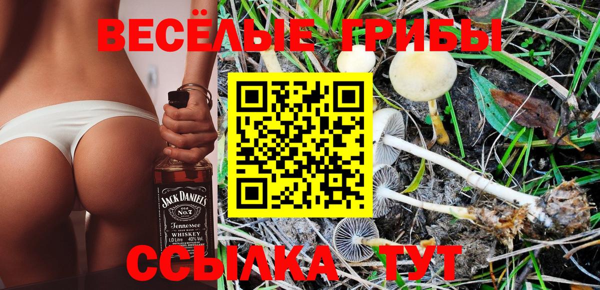 Галлюциногенные грибы Magic Shrooms Шелехов